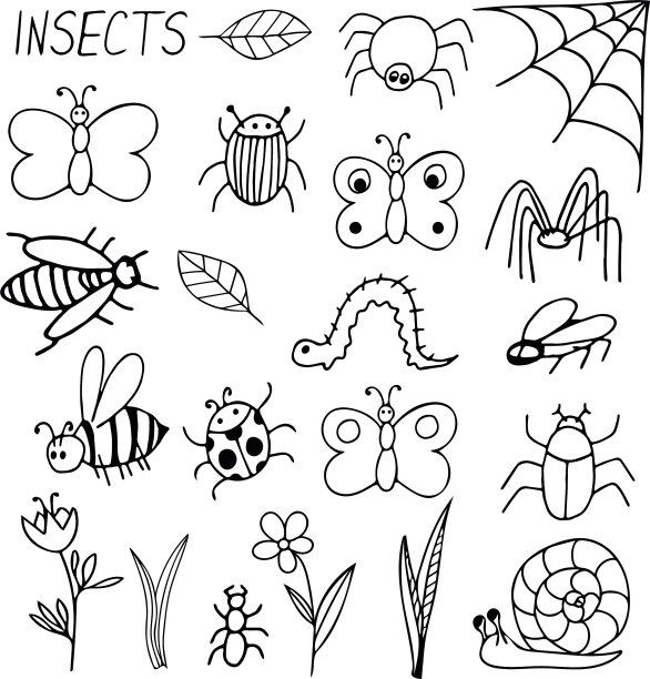 昆虫设置手绘元素涂鸦风格图片下载