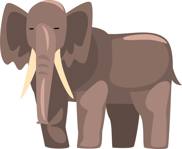 可爱的大象丛林动物非洲狩猎旅行图片下载