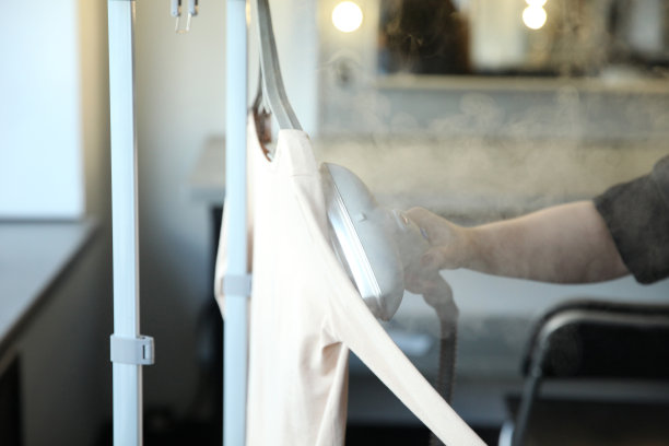 女性手持式蒸汽发生器用于衣物护理图片下载