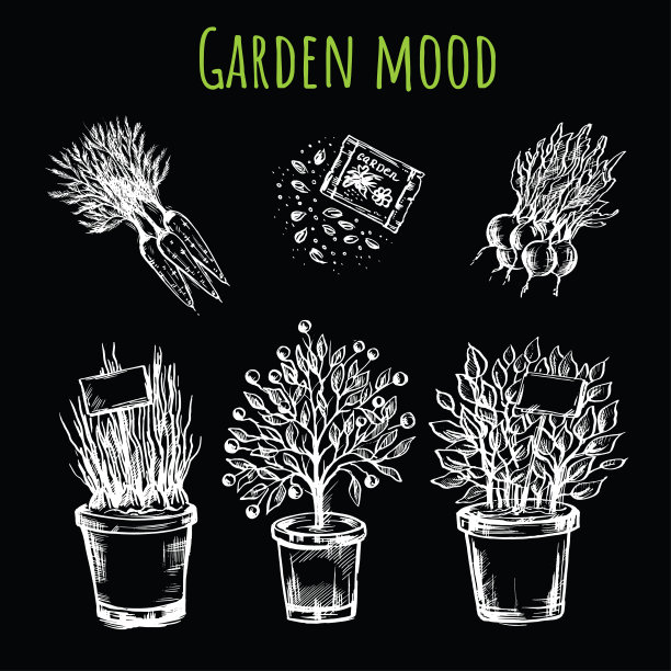 手绘花园植物种子和蔬菜在一个黑暗的背景图片下载