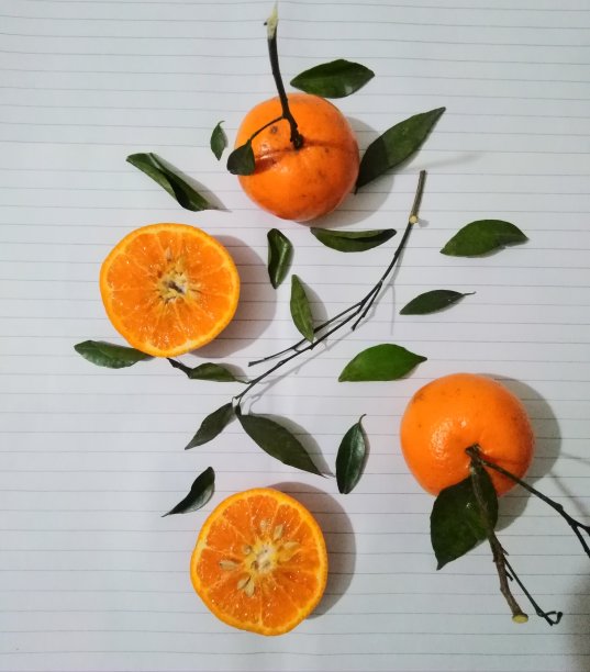 吃货喜欢拍食物的照片图片下载