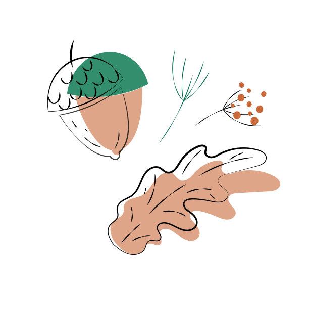 Set剪影秋林季节图片下载