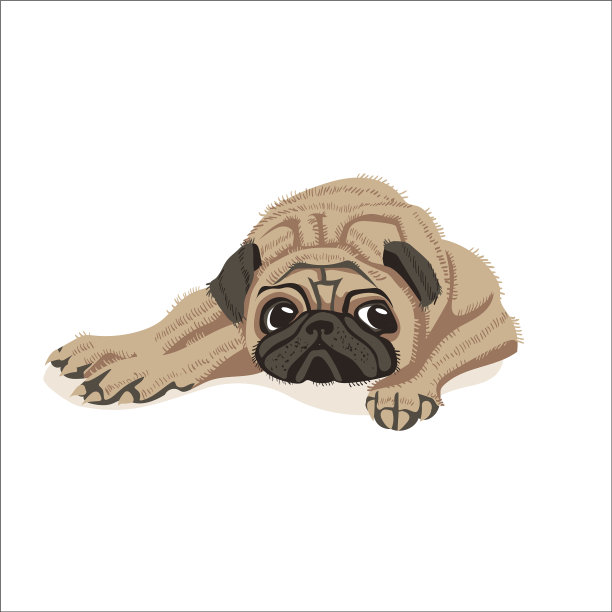 可爱的躺着的哈巴狗图片下载