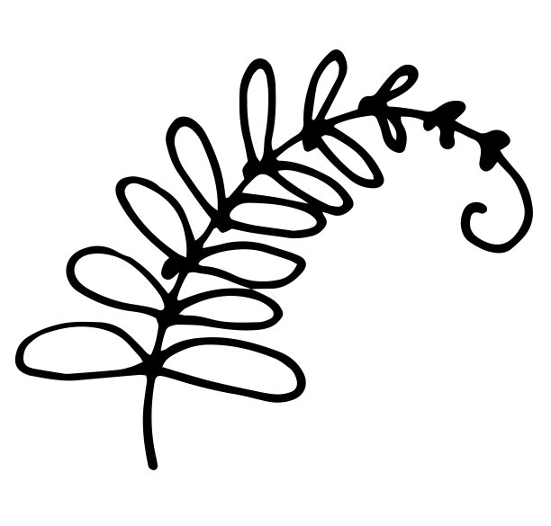 矢量孤立的元素，一个旋转的树枝与圆形的叶子和一个弯曲的螺旋在末端，手绘在涂鸦风格的黑色轮廓在一个白色的背景植物设计模板图片下载