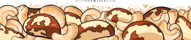 澳洲坚果和腰果无缝全景图片下载