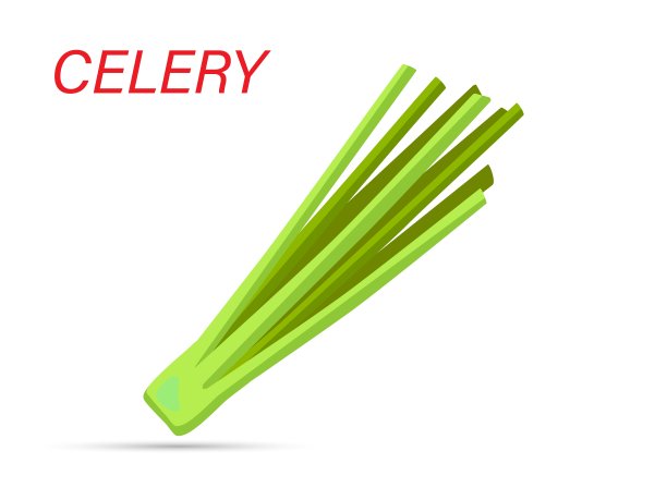 一束绿色芹菜。新鲜的维生素绿色蔬菜为健康的纯素饮食。图片下载