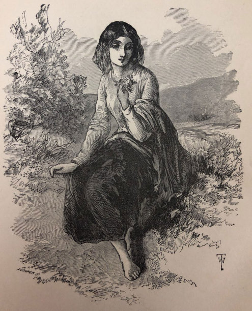 古董插图-诗歌托马斯摩尔-莱斯比亚的情人盖乌斯瓦列里乌斯卡图卢斯坐在户外光脚图片下载