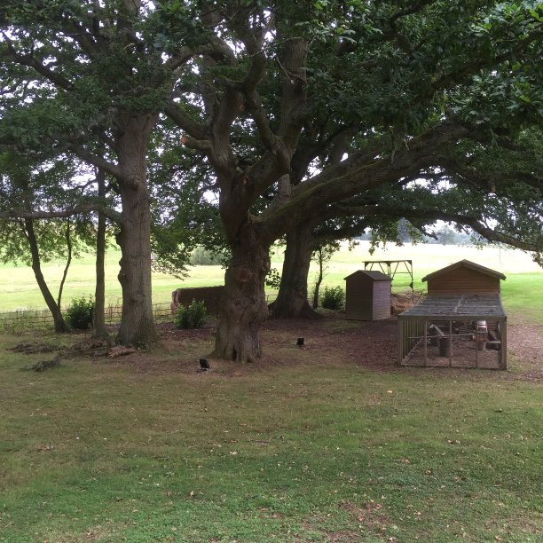 汉普郡图片下载