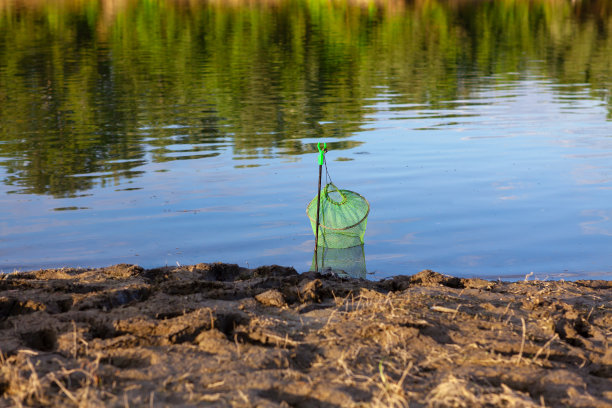 鱼在水里捉网图片下载