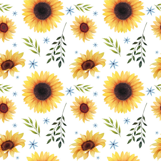 水彩花向日葵图案，夏日向日葵数码纸包，无缝图案图片下载