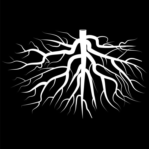 白色的根。树矢量图标。矢量插图设计。黑色背景。股票的形象。每股收益10。图片下载