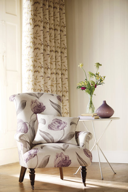 客厅里舒适的扶手椅图片下载