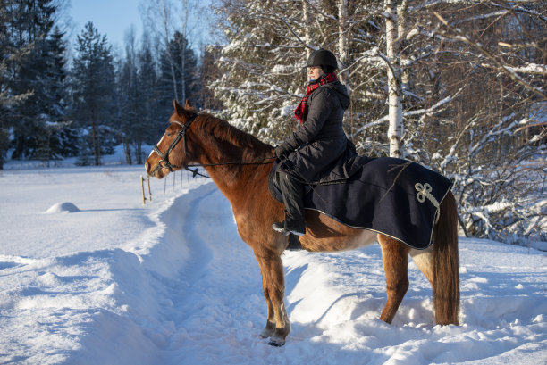 在冬天雪地里骑马的女人图片下载