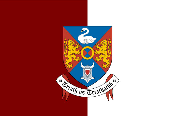 爱尔兰的韦斯特米斯镇图片下载