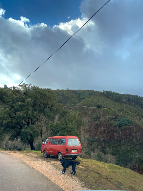 一条黑色的狗和一辆红色的车在美丽的风景上图片下载