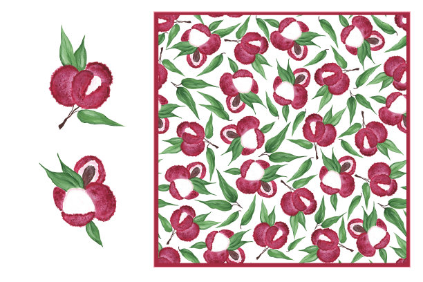 集合-荔枝，成熟的水果图标孤立在白色背景和无缝模式。水彩插图。带核和叶子的明亮浆果。用于设计菜单、标签、织物印刷。图片下载