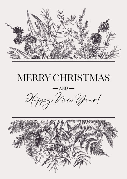 有常青树的植物学卡片。图片下载