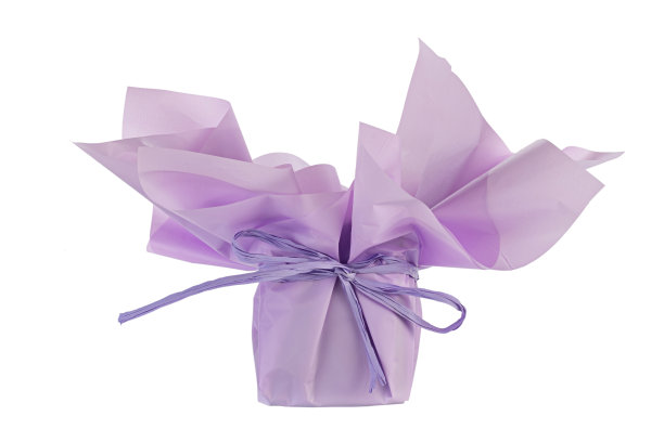 绿洲是用包装纸包裹的花束。花的海绵。假期的概念。图片下载