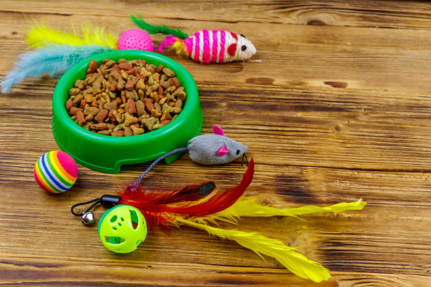 一套玩具猫和碗与干宠物食品在木制背景。宠物护理的概念图片下载