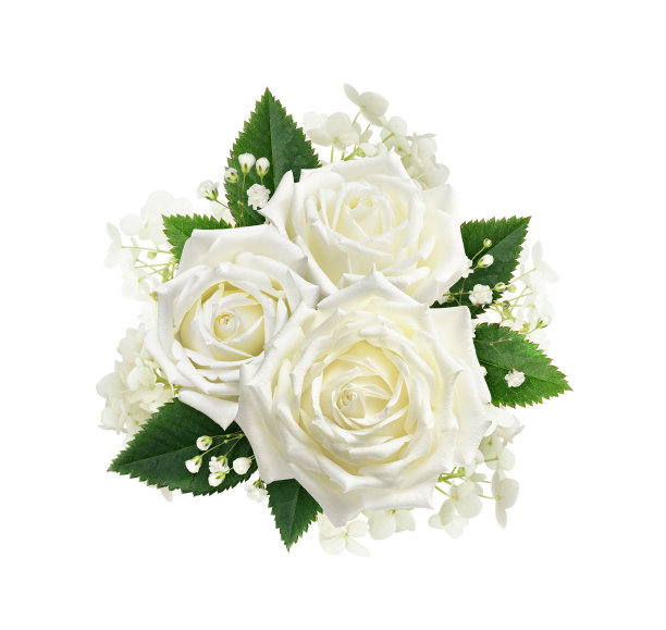 花束白色玫瑰，绣球花和吉普赛花孤立在白色上图片下载