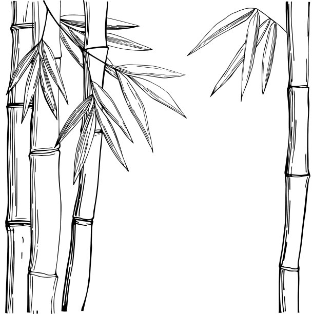 竹草图图片下载