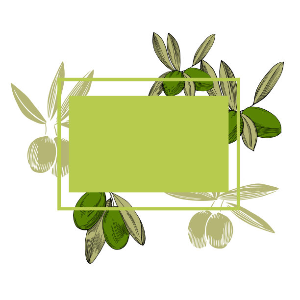 框架与手绘橄榄枝图片下载