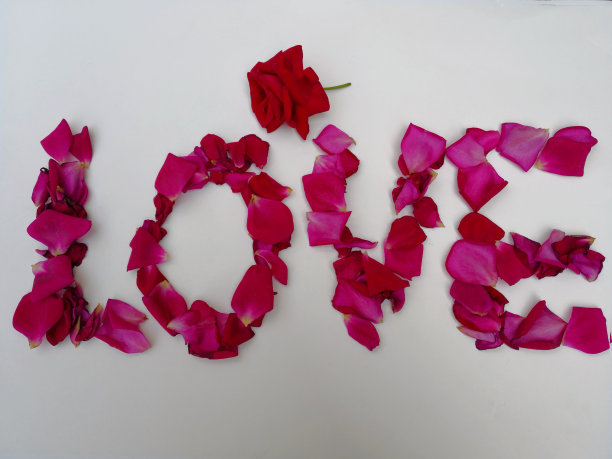 “爱”字由天然的粉红和红玫瑰花瓣制成，上面是红色的玫瑰花瓣。爱的情感的形象。情人节贺卡和约会的概念。爱的信息图片下载