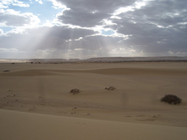 壮丽的沙漠景色图片下载