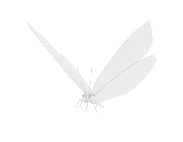 低聚白蝴蝶孤立在白色背景。三维演示图片下载