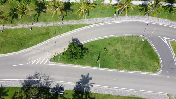 绿色的草在路中间图片下载