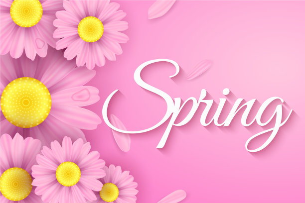 现实的粉红色雏菊花春天时尚图片下载