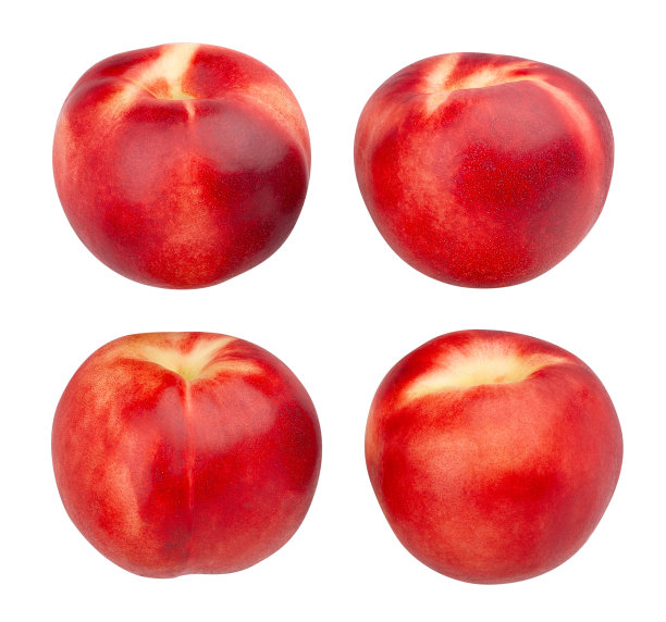 高丽油桃白图片下载