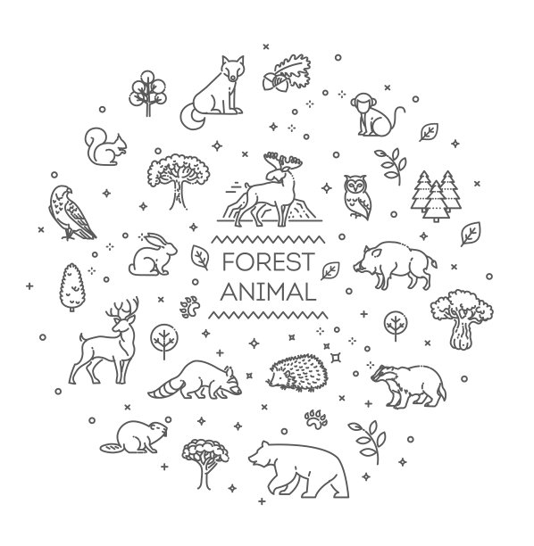 设置线性森林动物图片下载