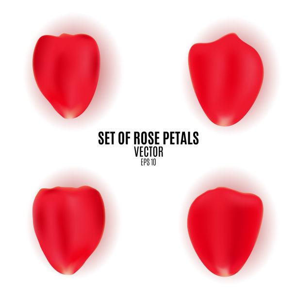 集花瓣为红玫瑰的希腊物件为一图片下载