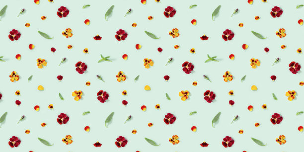 现代花型三色堇，绿叶，花蕾。花瓣，夏日小花，季节造型点缀图片下载