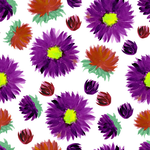 粉红色和紫色紫菀花蕾水彩无缝图案上的白色背景。秋花反复为织物、纺织品、纹理、包装、墙纸作背景。图片下载