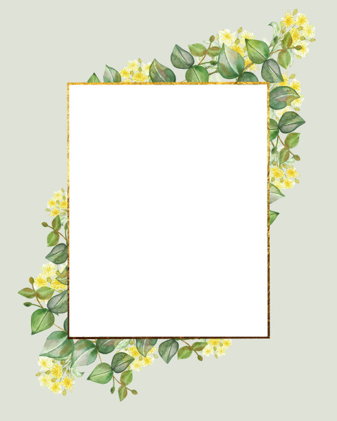 水彩手绘自然花卉框架与黄色的石灰花和绿色的桉树枝束在浅绿色的背景与白色的空间文字和金色的边界线图片下载