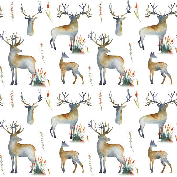 无缝模式与水彩鹿的轮廓，草和森林植物，手绘在白色的背景图片下载