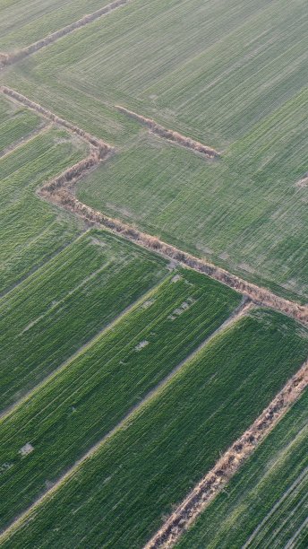 场模式图片下载