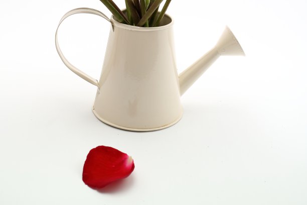 喷壶里有一束新鲜的红玫瑰图片下载