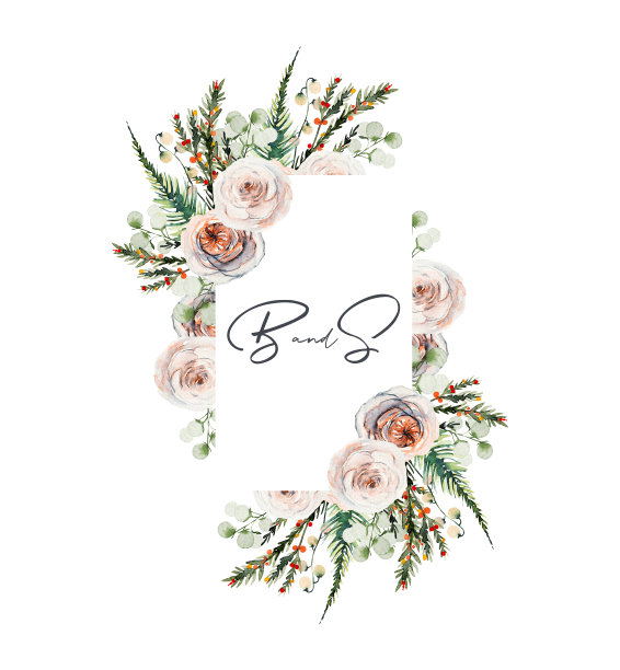 水彩古董花框架与白色玫瑰和冷杉树枝，孤立的插图在白色的背景图片下载