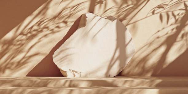 用石头和树叶阴影模拟背景图片下载