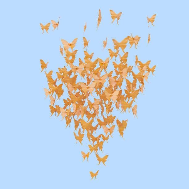 橙色的蝴蝶在蓝色的背景上图片下载