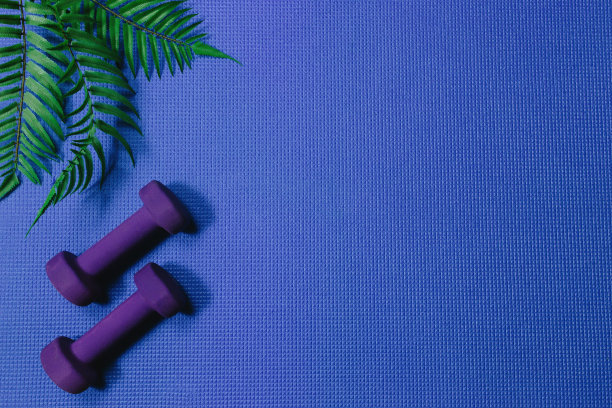运动壶铃或重量在蓝色垫，蕨类植物被单图片下载