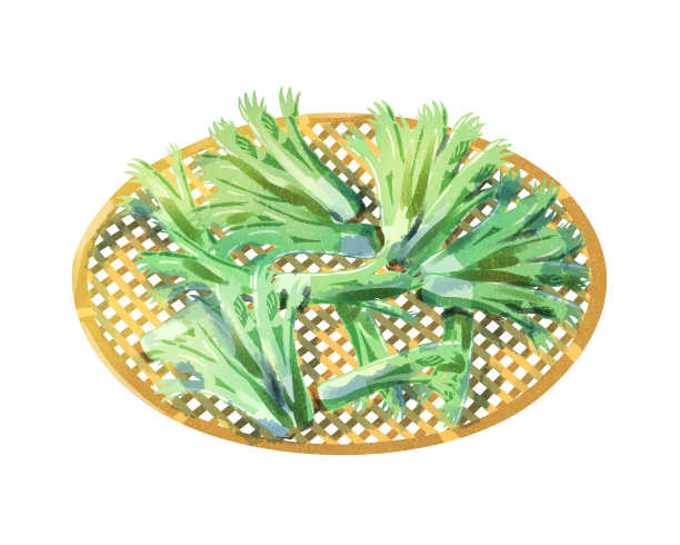 鳕鱼芽水彩画风格图片下载