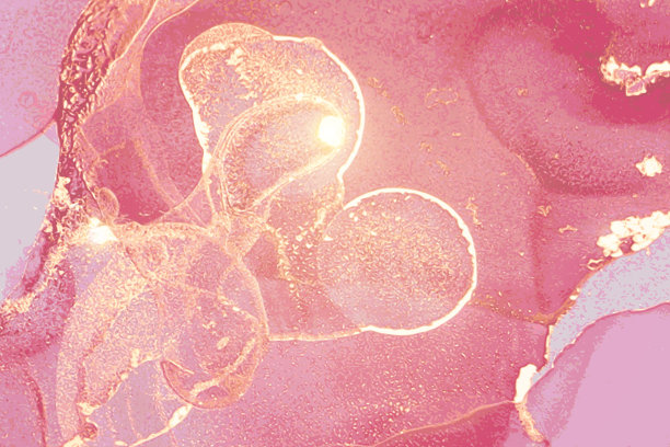 时髦的粉红色，金色图案与大理石纹理。醇墨技术图片下载