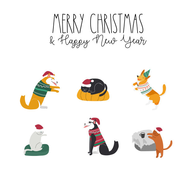 给家里的宠物穿上圣诞服装图片下载