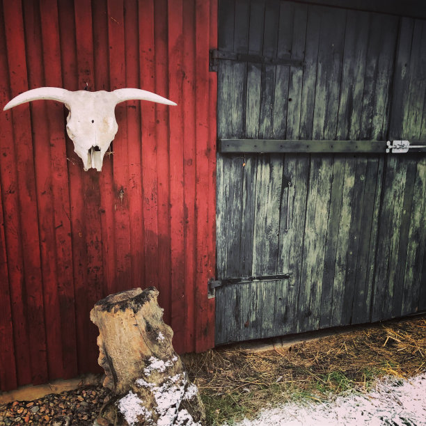 带骷髅的谷仓门图片下载
