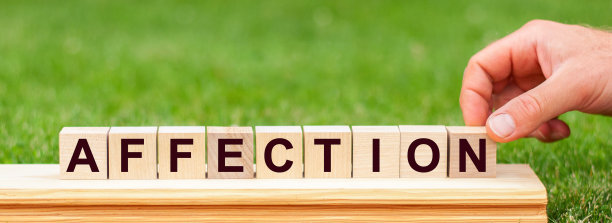 情字用木块写，概念用图片下载