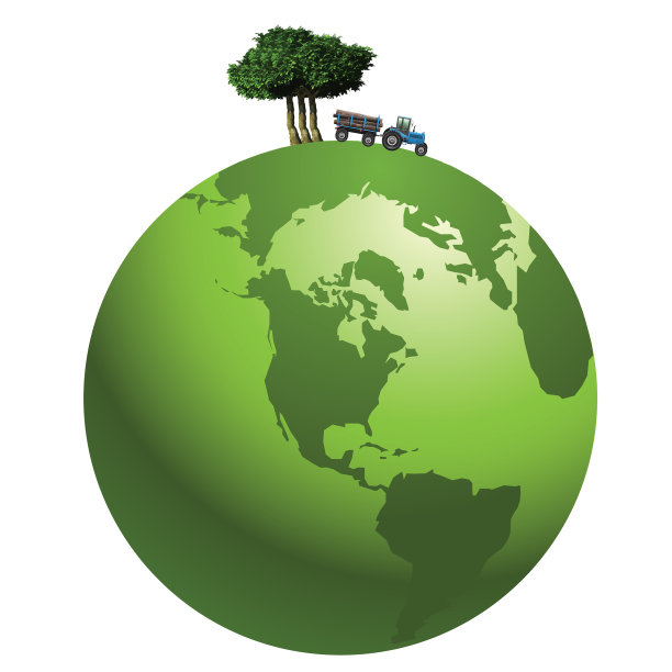 全球雨林砍伐图片下载